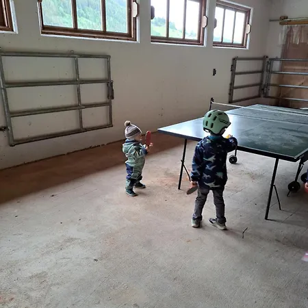 Vakantieboerderij Biobauernhof Fresoldhof Schladming